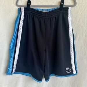 Vintage Nike Mens Dazzle Reversible Blue Black Silky Basketball Shorts Y2K Baggy